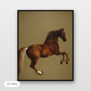 Stubbs - Whistlejacket