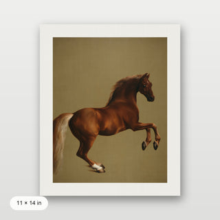 Stubbs - Whistlejacket