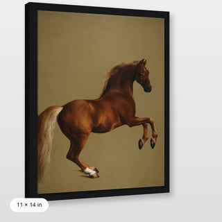Stubbs - Whistlejacket