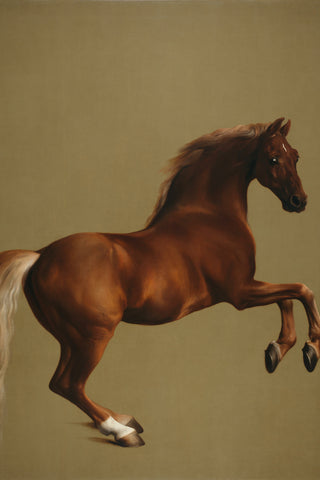 Stubbs - Whistlejacket