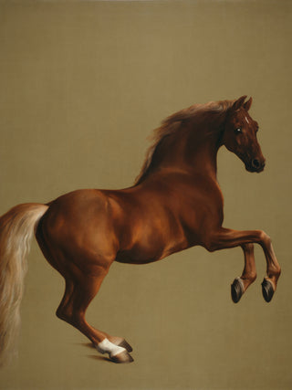 Stubbs - Whistlejacket