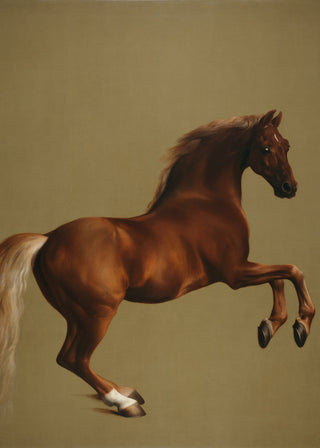 Stubbs - Whistlejacket