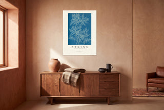 Atkins - Ptilota Plumosa Cyanotype