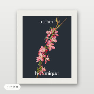 Atelier Botanique P3