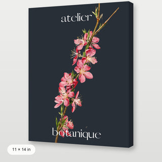 Atelier Botanique P3