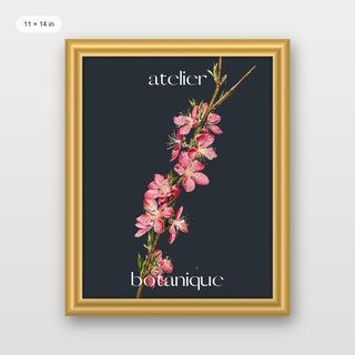 Atelier Botanique P3