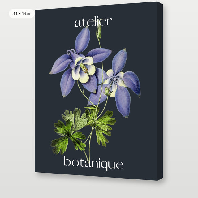 Atelier Botanique P4, Gallery Wrap