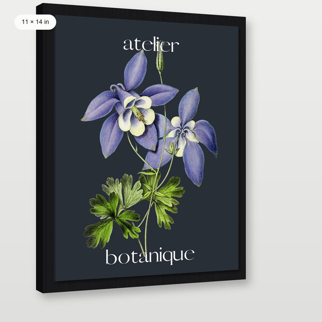 Atelier Botanique P4, Black Floater Frame
