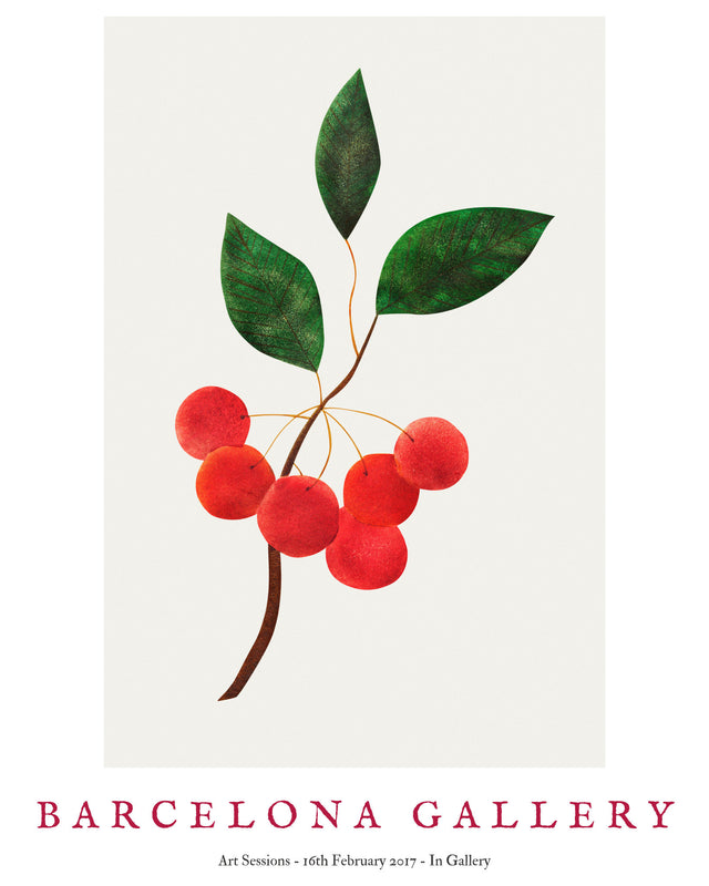 Barcelona Gallery - Apple, Full Bleed