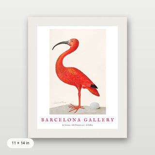 Barcelona Gallery - Ibis