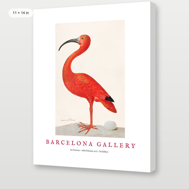 Barcelona Gallery - Ibis, Gallery Wrap