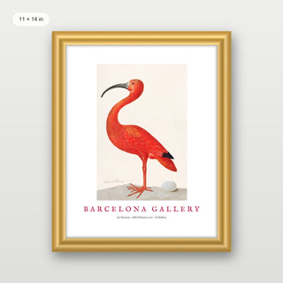 Barcelona Gallery - Ibis