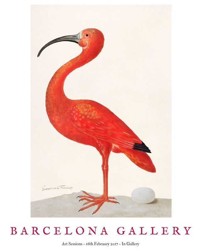 Barcelona Gallery - Ibis, Full Bleed