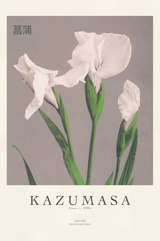 Kazumasa - Irises