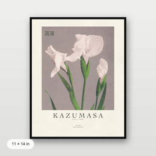 Kazumasa - Irises