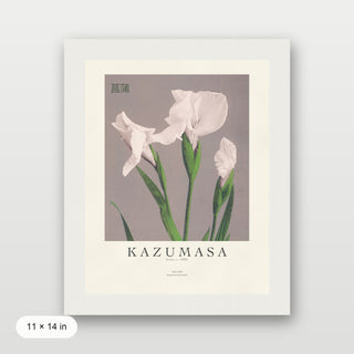Kazumasa - Irises