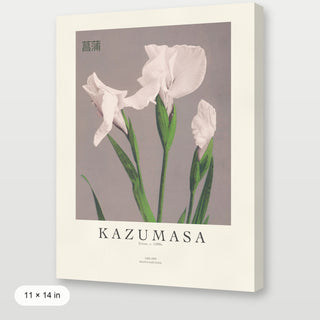 Kazumasa - Irises