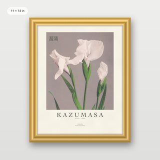 Kazumasa - Irises