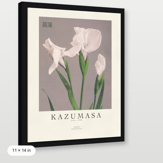 Kazumasa - Irises