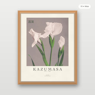 Kazumasa - Irises