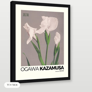 Kazamusa - Irises