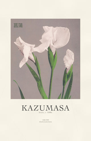 Kazumasa - Irises