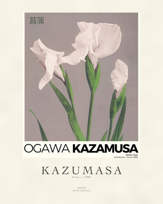 Kazumasa - Irises