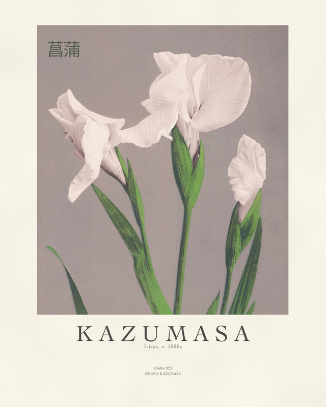 Kazumasa - Irises, Gallery Style