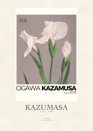 Kazumasa - Irises