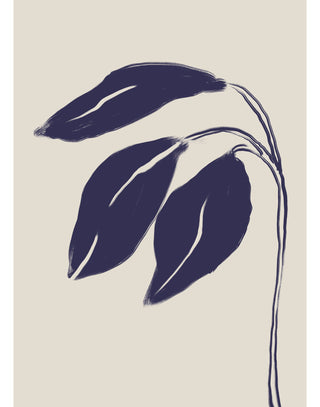 Folding Blue Irises