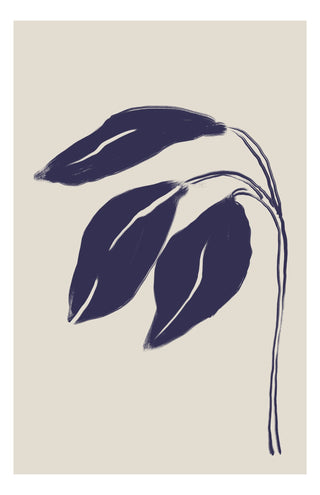 Folding Blue Irises