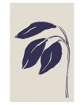 Folding Blue Irises