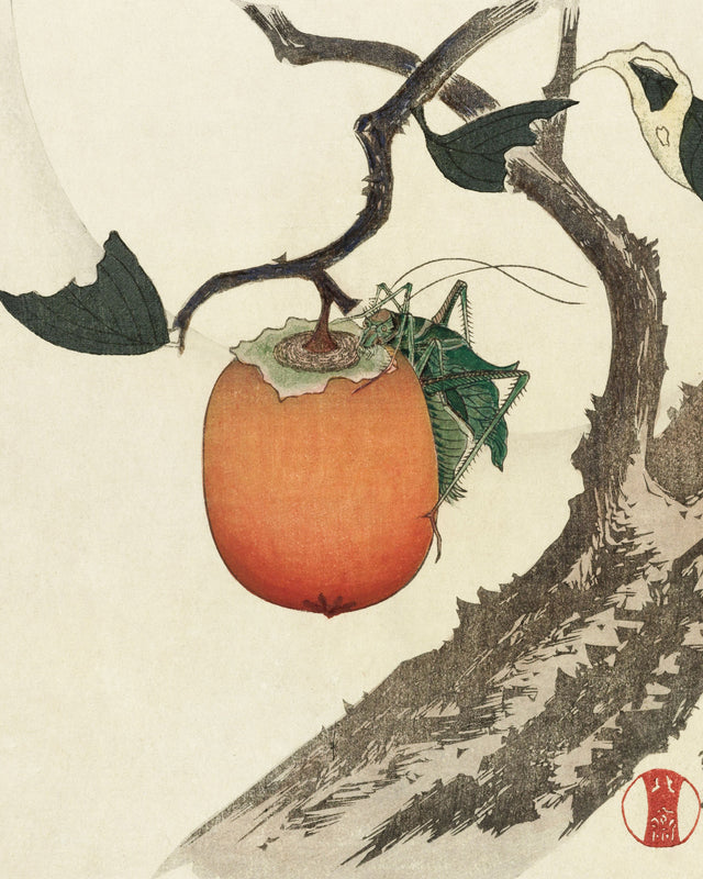 Hokusai - Kakivrucht Met Sprinkhaan, Full Bleed