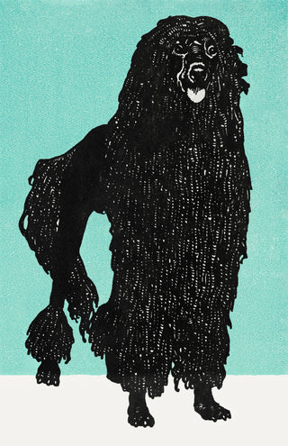 Jung - Poodle 1912