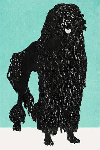 Jung - Poodle 1912