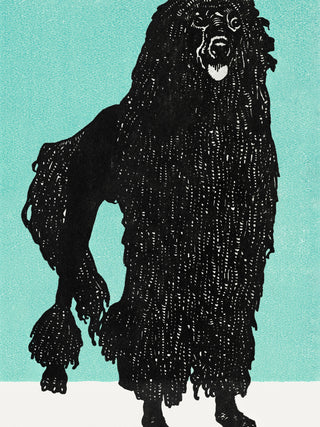 Jung - Poodle 1912