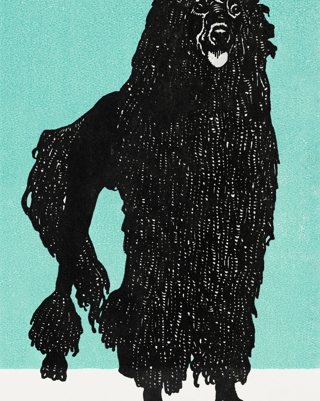 Jung - Poodle 1912, Full Bleed