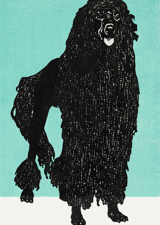 Jung - Poodle 1912