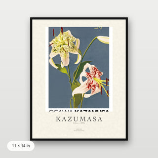 Kazumasa - Lilies