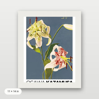 Kazamusa - Lilies