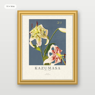 Kazumasa - Lilies