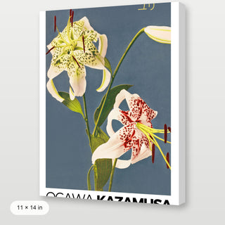 Kazamusa - Lilies