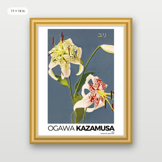Kazumasa - Lilies
