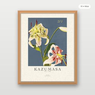 Kazumasa - Lilies