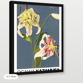 Kazamusa - Lilies
