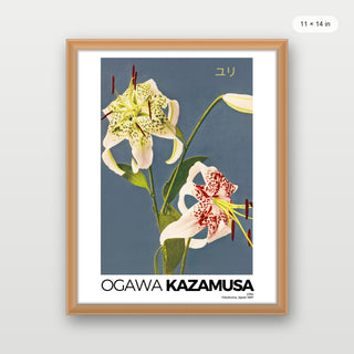 Kazumasa - Lilies