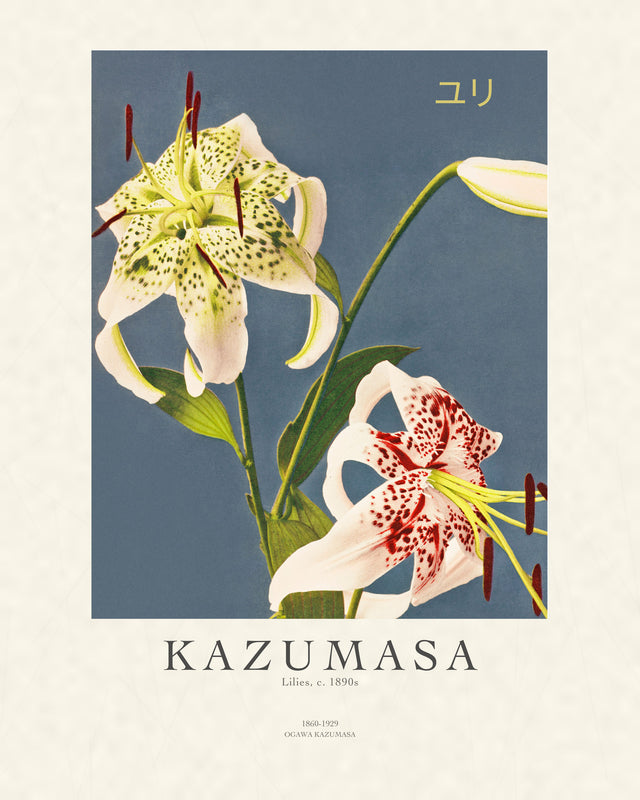 Kazumasa - Lilies, Gallery Style