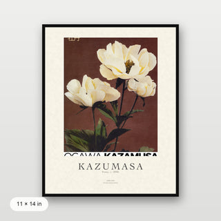 Kazumasa - Peony