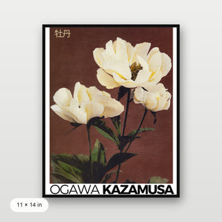 Kazamusa - Peony