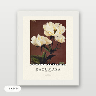 Kazumasa - Peony